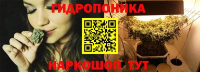 apvp Кингисепп