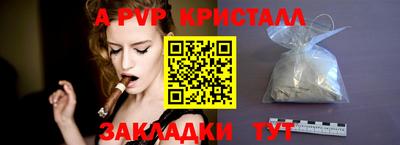 apvp Кингисепп