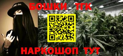 apvp Кингисепп
