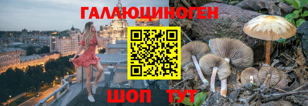Галлюциногенные грибы MAGIC MUSHROOMS Лабытнанги